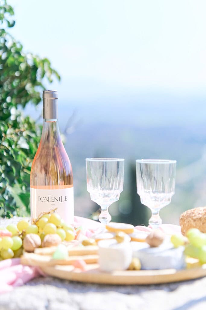 photo pique nique reportage pour vigneron photographe entreprise lyon