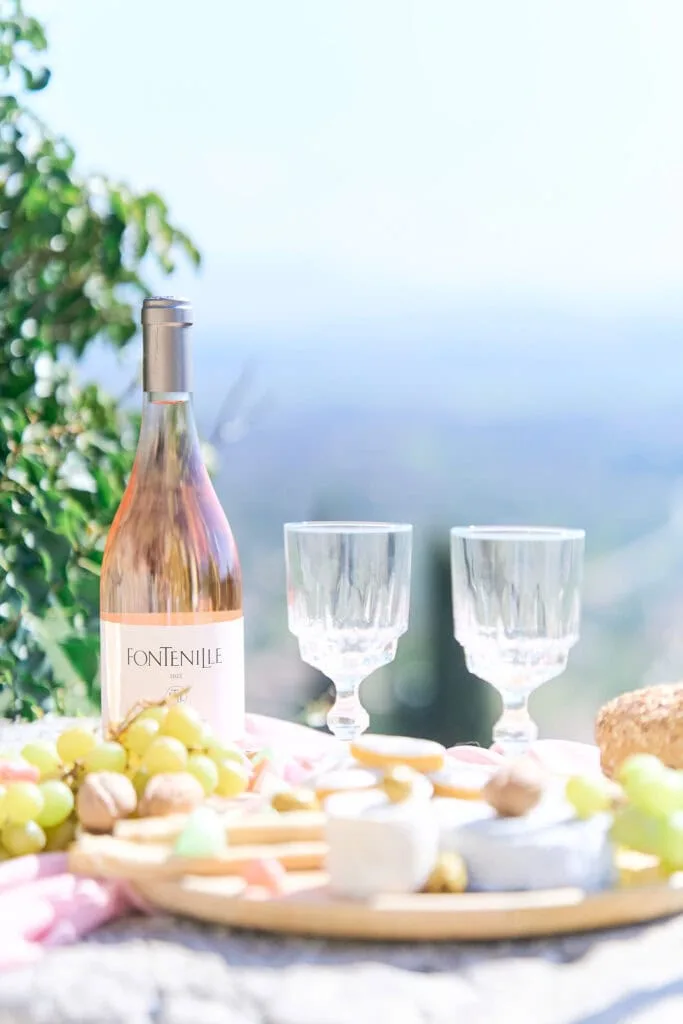 photo pique nique reportage pour vigneron photographe entreprise lyon